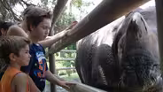 Rhino Encounter