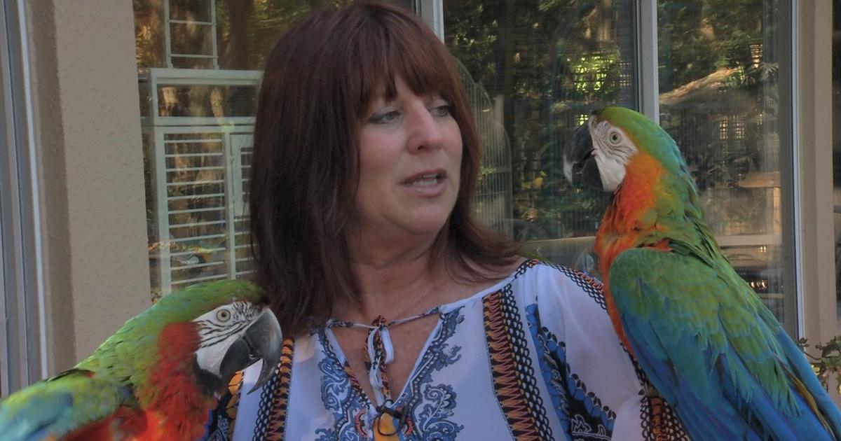 One central florida | patty's parrot palace | season 2016 | episode 1