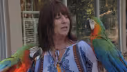 Patty's Parrot Palace