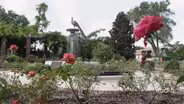 “My Hometown” - Winter Park
