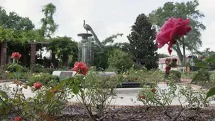 “My Hometown” - Winter Park