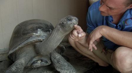 Video thumbnail: ONE CENTRAL FLORIDA Reptiles, Organic Beer, DeLand, Makaila Nichols, Leesburg mu