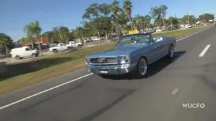 Mustang Man - The Story of Revology