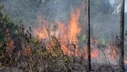 Controlled Burns and Nature's Fury