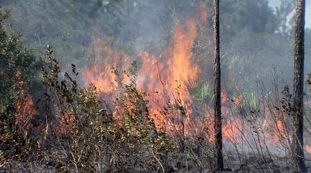 Video thumbnail: SCI TECH CENTRAL Prescribed Burns