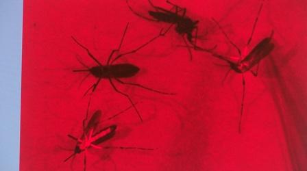 Video thumbnail: SCI TECH CENTRAL Zika Virus