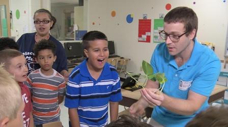 Video thumbnail: SCI TECH CENTRAL Air Purifying Plants