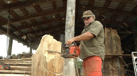 Video thumbnail: WUCF Artisodes Think Big