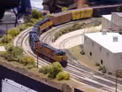 Making Tracks in Central Florida