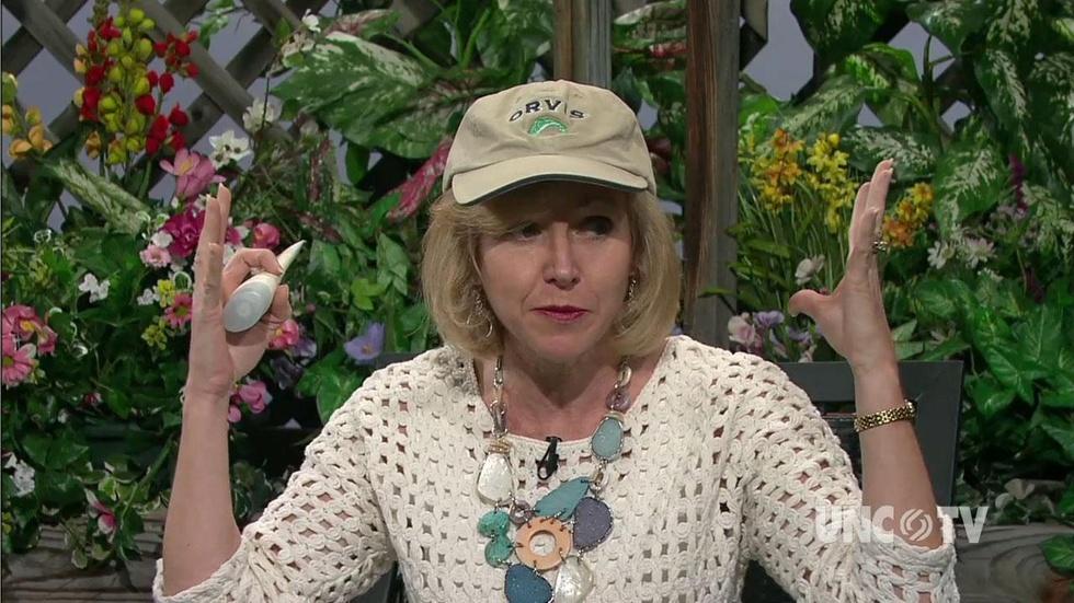 Preparing for Hot Gardening image