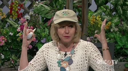 Video thumbnail: Almanac Gardener Preparing for Hot Gardening