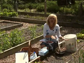 Food Safety for Backyard Gardeners