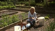 Food Safety for Backyard Gardeners