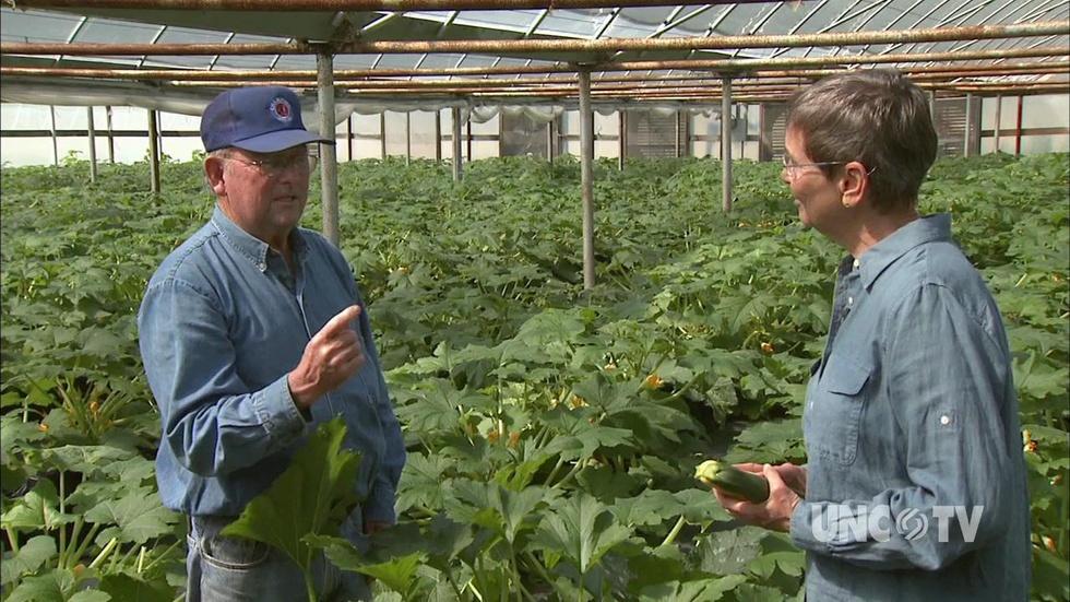 Simpson's Farm Produce image