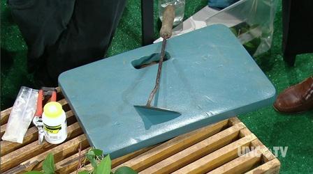 Video thumbnail: Almanac Gardener Controlling Summer Weeds