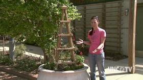 Video thumbnail: Almanac Gardener Creating Container Gardens