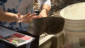 Video thumbnail: Almanac Gardener Food Safety for Backyard Gardeners 2