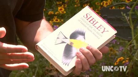 Video thumbnail: Almanac Gardener Attracting Birds to Landscapes 1