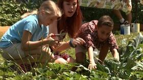 Video thumbnail: Almanac Gardener Gardening at A.B. Combs Elementary