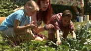 Gardening at A.B. Combs Elementary