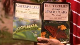 Video thumbnail: Almanac Gardener Attracting Butterflies to Your Landscape
