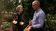 Colonial Kitchen Garden