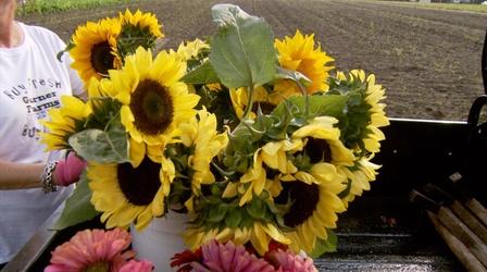 Video thumbnail: Almanac Gardener Garner's Family Farms
