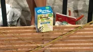 Controlling Bamboo