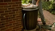 Using Rain Barrels to Irrigate Your Landscape