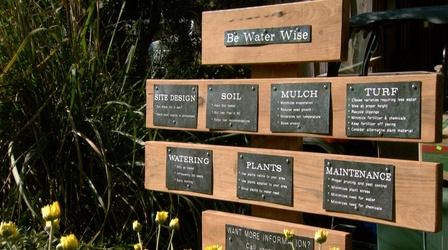 Video thumbnail: Almanac Gardener Master Gardener Water Wise Garden