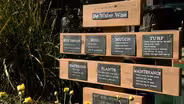 Master Gardener Water Wise Garden