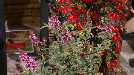 Video thumbnail: Almanac Gardener Building Community Gardens