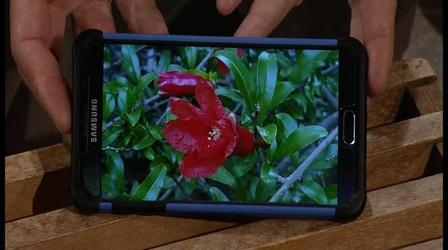 Video thumbnail: Almanac Gardener Journalizing Your Plants