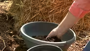 Making Safe Compost