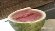 Preparing Watermelons