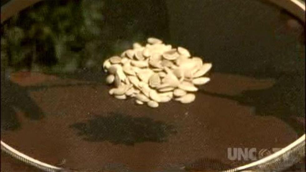 Saving Seeds image