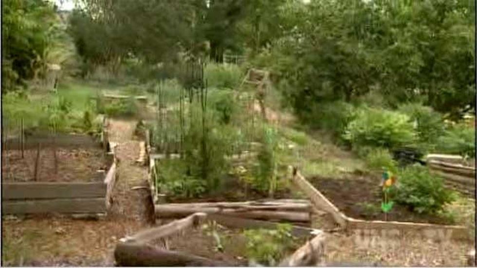 SEEDS Community Garden image