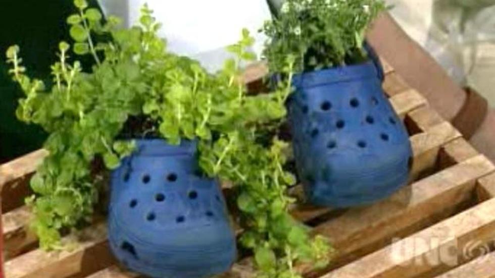 Innovative Planting Ideas image