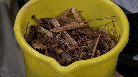 Video thumbnail: Almanac Gardener Linda Blue: Making a Good Impression at the State Fair