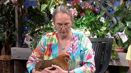Video thumbnail: Almanac Gardener Karen Neill talks About Growing Trash Can Potatoes