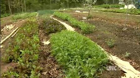 Video thumbnail: Black Issues Forum Urban Farming: Food for Life