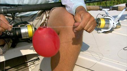 Video thumbnail: Carolina Outdoor Journal Gear Tme: Tidal Sharks