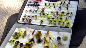 Video thumbnail: Carolina Outdoor Journal Gear Tme: River Bluegills