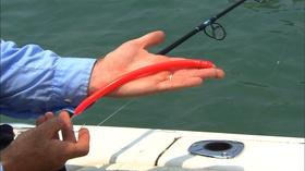 Video thumbnail: Carolina Outdoor Journal Gear Tme: Barracuda Bite