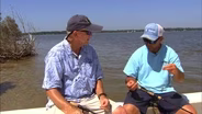 Fishing Bridge Pilings | Gear Time