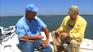 Artificial Lures | Gear Time