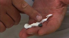 Video thumbnail: Carolina Outdoor Journal Gear Time: Black Crappie