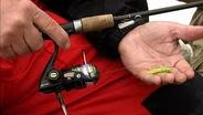 Late Winter Yellow Perch | Gear Time