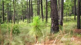 Video thumbnail: Exploring North Carolina In Perfect Harmony: Fort Bragg