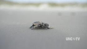Video thumbnail: Exploring North Carolina In Perfect Harmony: Camp Lejeune